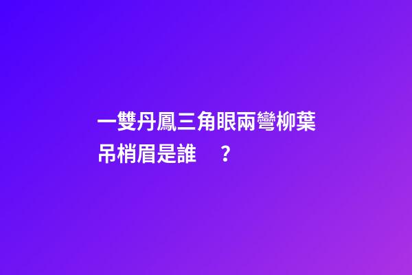 一雙丹鳳三角眼兩彎柳葉吊梢眉是誰？